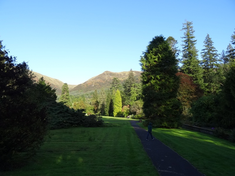 Benmore_Gardens__Mountain_back_drop