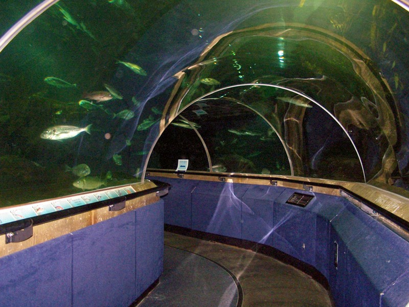 DeepSeaWorldunderwatertunnel