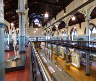 Hunterian_Museum_Upstairs