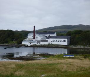 Lagavulia