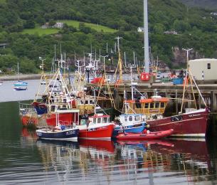 Ullapoolfishingboats