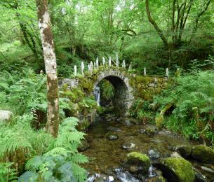 FairyBridge