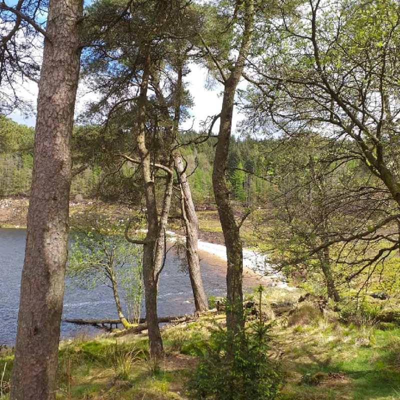 Approach to Loch Grannoch beach