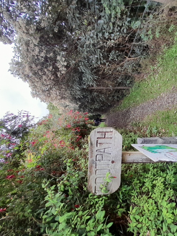 Start of the path into the Arinaban Woodlands on South Uist