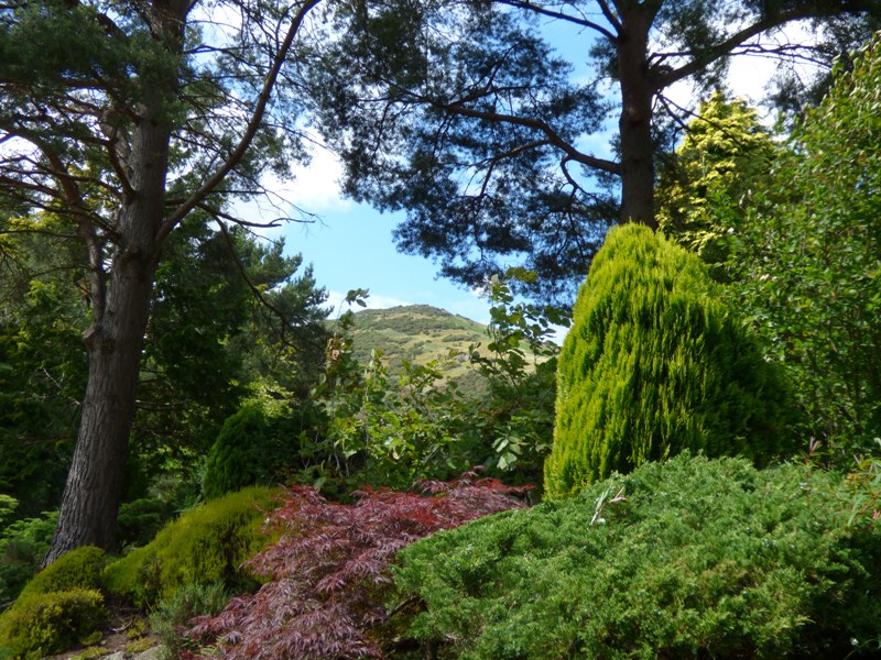 View of Arthurs Seat from Dr Neil's Garden