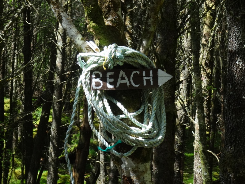 Signpost through the trees to our favourite beach