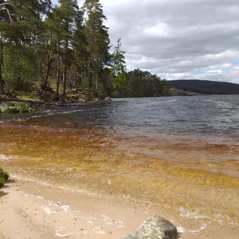 Sandy beach at Loch Grannoch