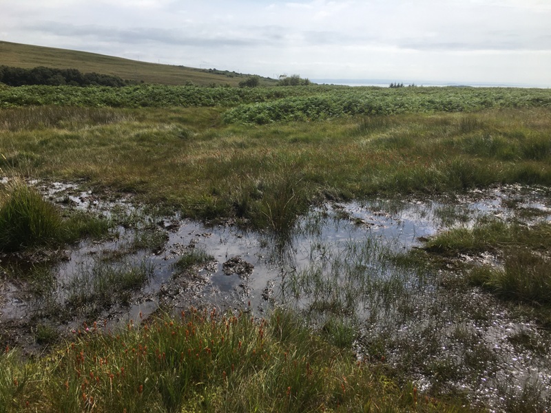 Boggy path to the Paps of Jura