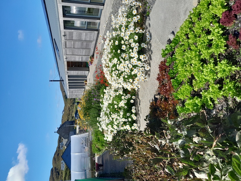 Gàradh a’ Bhàgh a’ Tuath - community garden on Barra