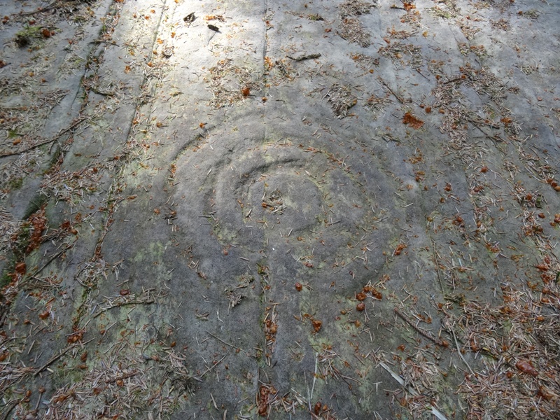 Cup and ring marks at Stronach Woods  on Arran