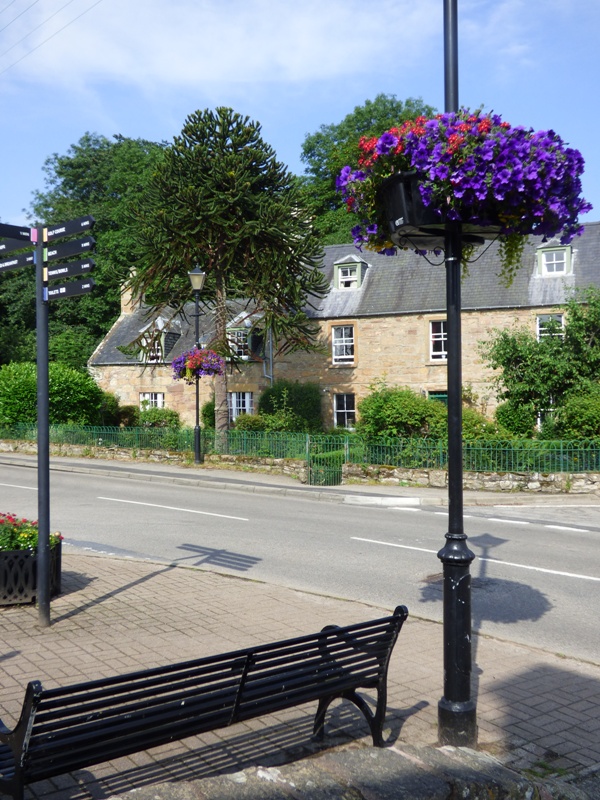 Dornoch flower display