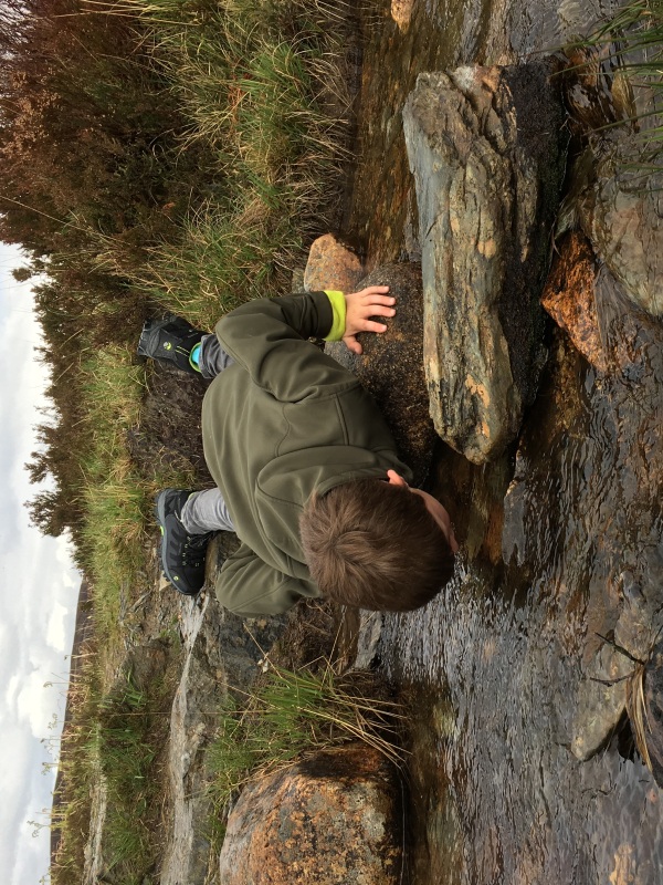 Drinking from a stream in Scotland
