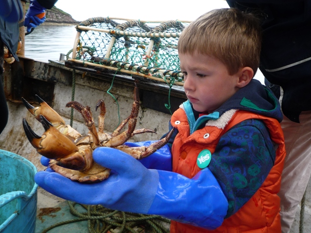 Fishing Boat Trip in Scotland