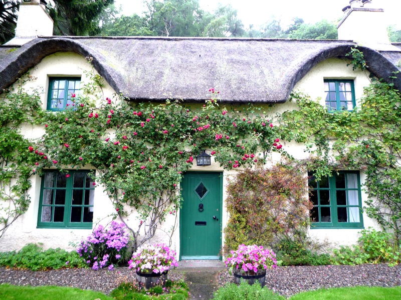 Fortingall thatch roof cottage with rose garden