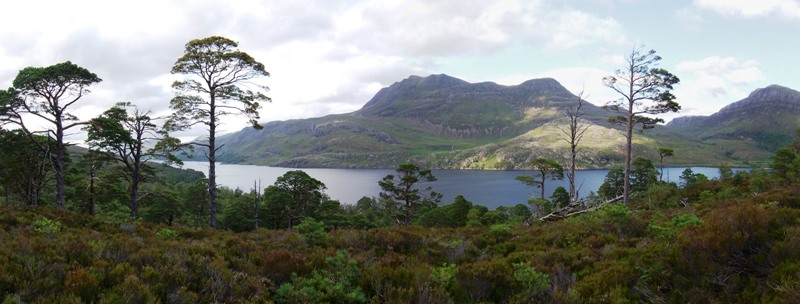 Loch Maree View Point