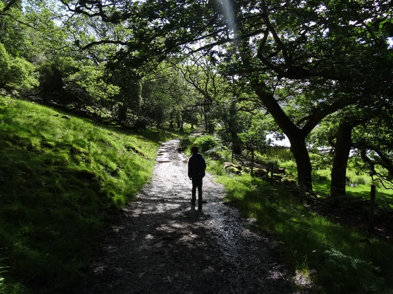 Path along the shores of Loch Morar