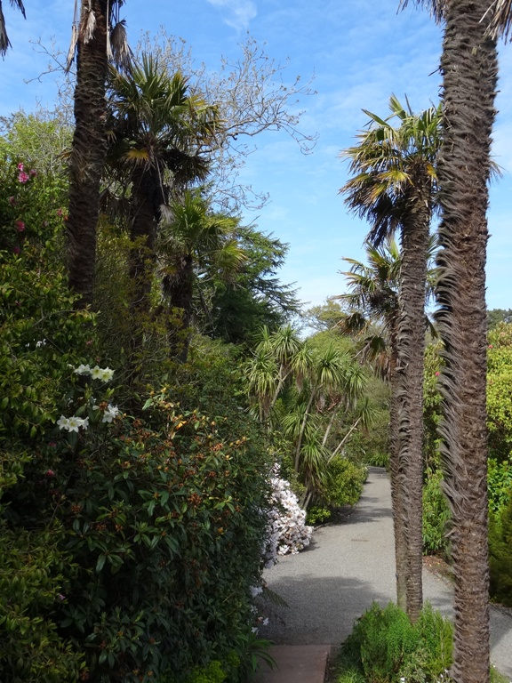 Tropical atmosphere in Logan Gardens