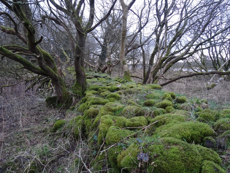 Moss covered causeway that leads out to Martnaham Castle