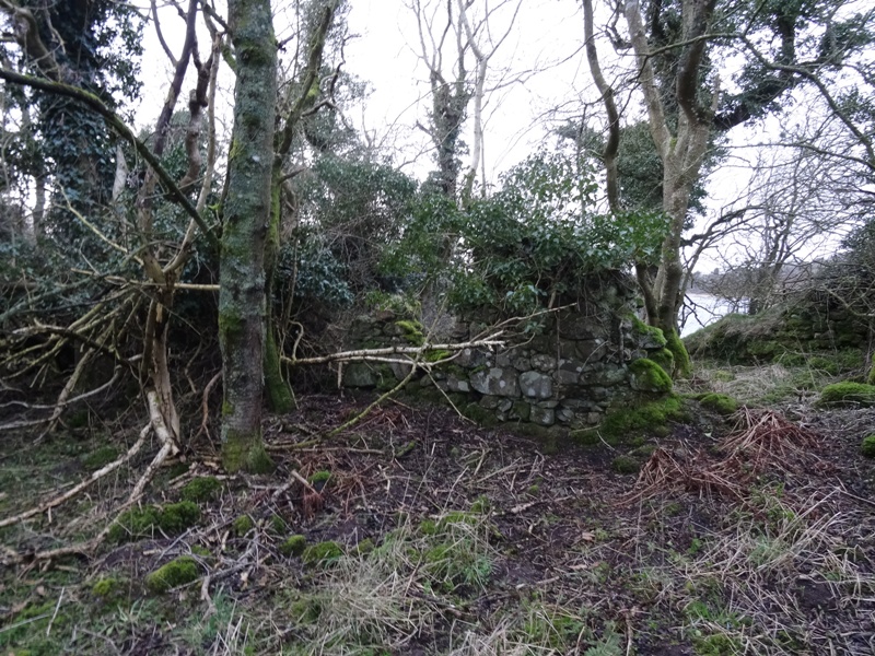 Martnaham Castle Ruins