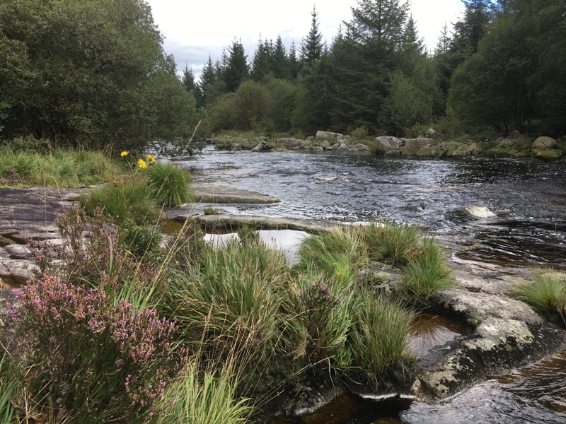 Otters Pool