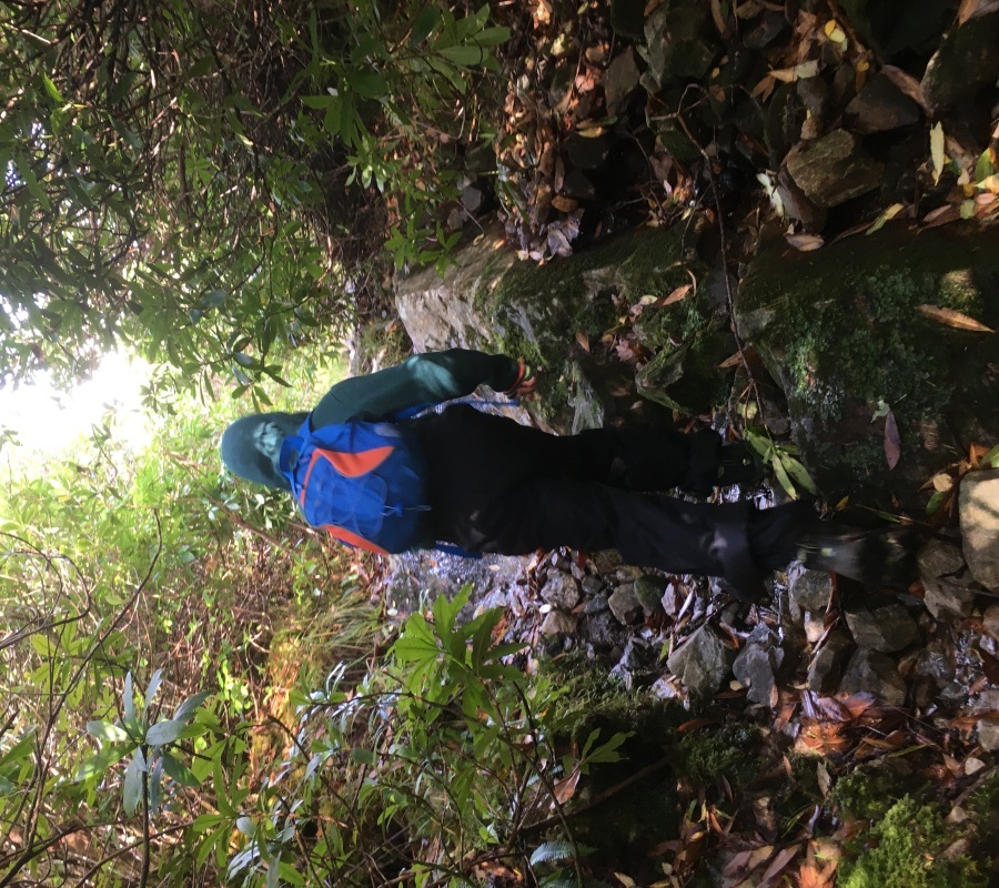 Climbing path through rhododendrons on the ascent of Spidean Mialach