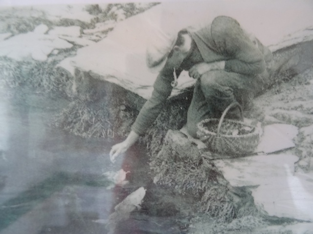 Old Black and white photo of fish being fed at Port Logan Fish Pond