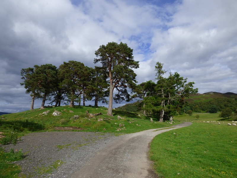 Road to Craigh na Dun location