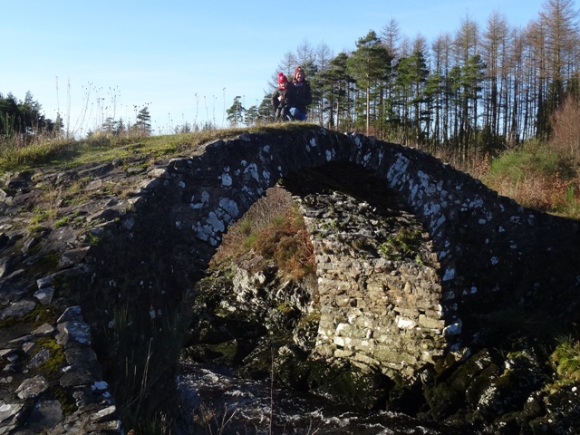 Roman Bridge in the Galloway Forest Park