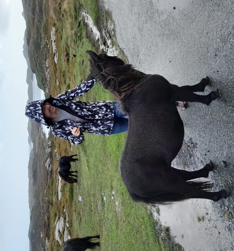 Making friends with the Shetland Ponies at Loch Skipport on South Uist