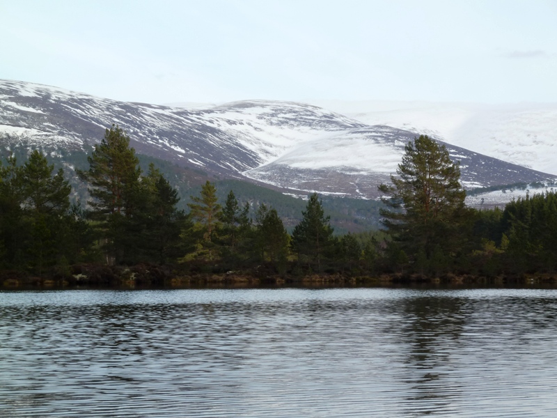 Snow on the Cairngorm Mountain at Uath Lochans