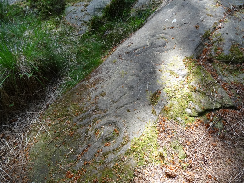 Unusual neolithic stone artwork at Stronach Wood on Arran