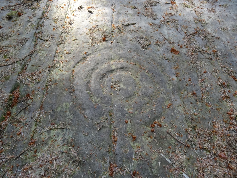 Cup and ring marks at Stronach Woods on Arran Cup and ring marks at Stronach Woods on Arran