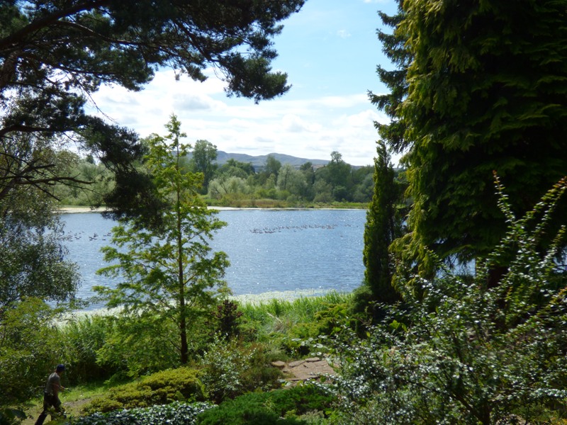 Duddingston Loch Duddingston Loch