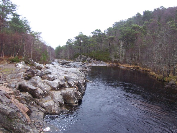 Glen Affric Forest