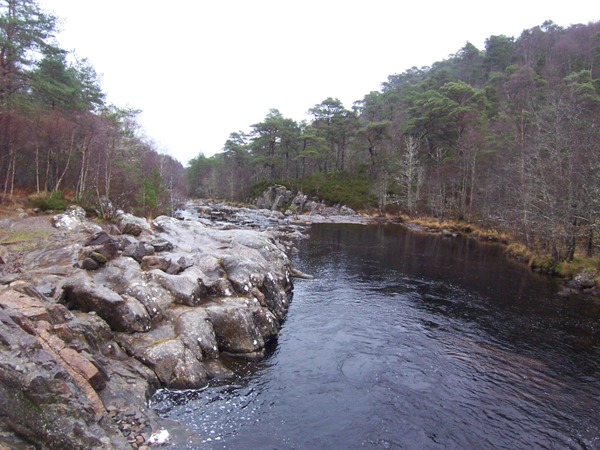 Glen Affric Forest Glen Affric Forest