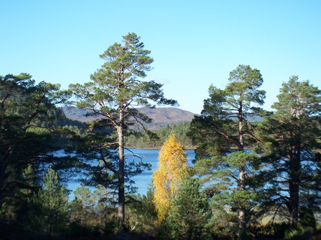 Loch an Eilein in Autumn