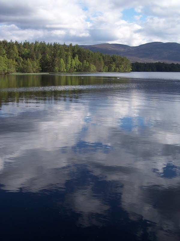 Loch Garten - view across the water.