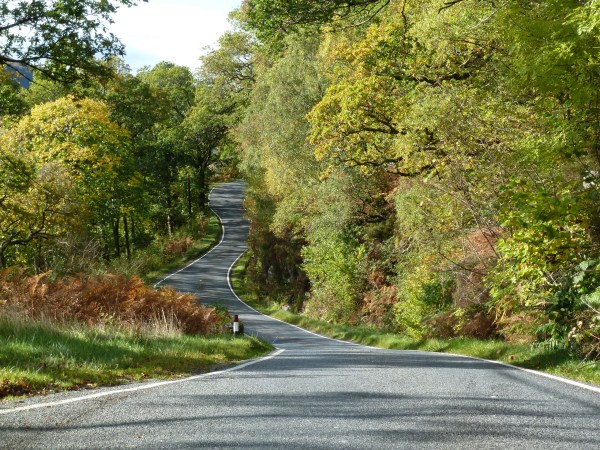 Loch Sunart woodlands in October