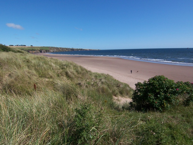 Lunan Bay on a sunny day Lunan Bay