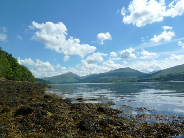 Loch Fyne Argyll Scotland