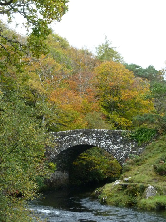 Sunart woodlands in Autumn