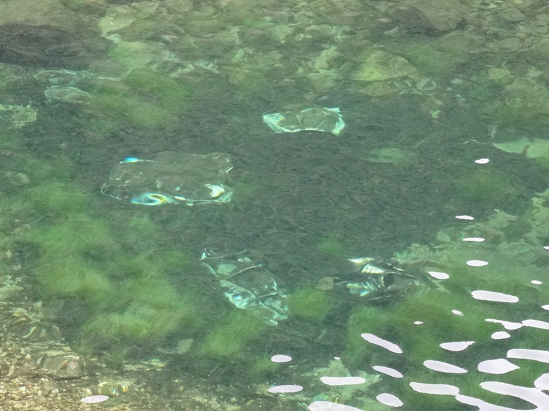 Wreckage in the waters of Coire Mhic Fhearchair